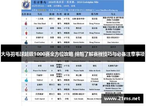 大马羽毛球超级1000赛全方位攻略 提前了解赛程技巧与必备注意事项